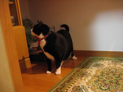 080329-e.jpg