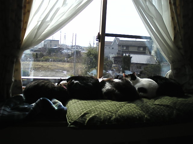 Image366.jpg