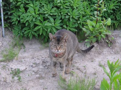 abby090515-b.jpg
