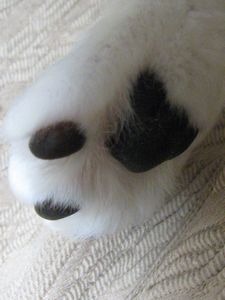 bani090317-b.jpg