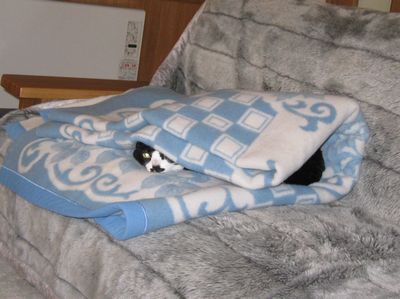 bani090518-a.jpg