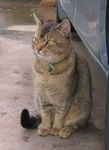 abby061202-b.jpg