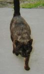 keru0305-a.jpg