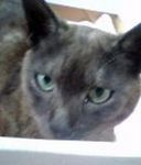 keru0405291408.jpg